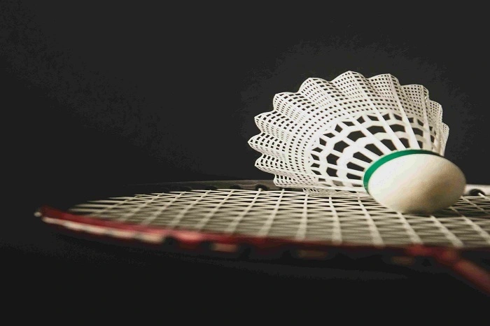 BWF Denmark Open 2024 – Tournament, Venue, Prize Money & Point Distribution